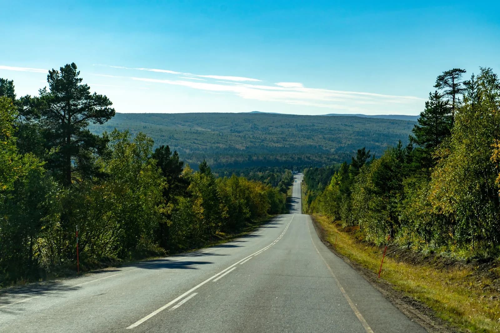 An empty paved road descending through sunlit green forest toward distant hills under a clear blue sky, the kind of quiet route a multi-day bike tour follows.