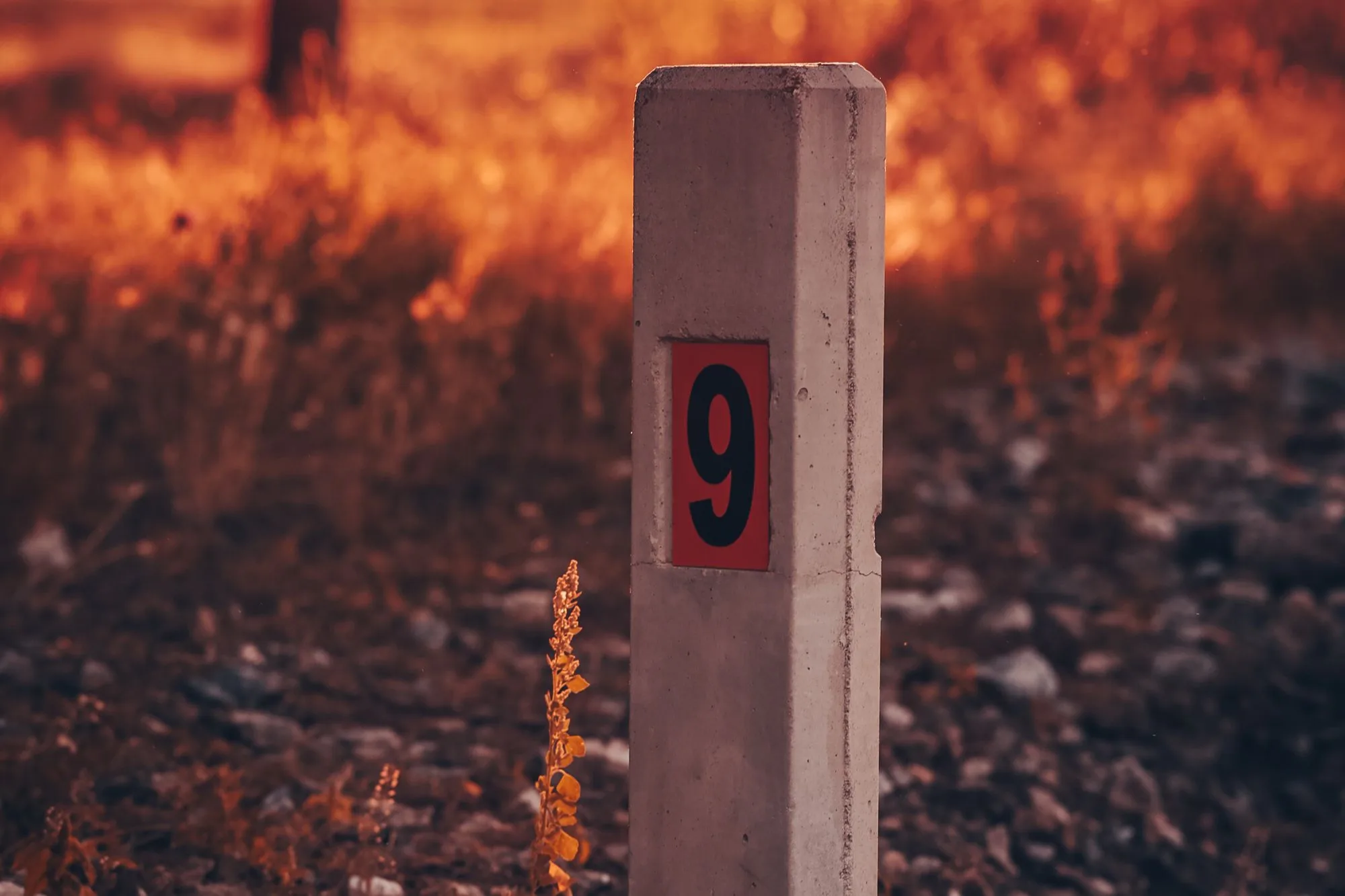Road cycling on a multi-day bike tour