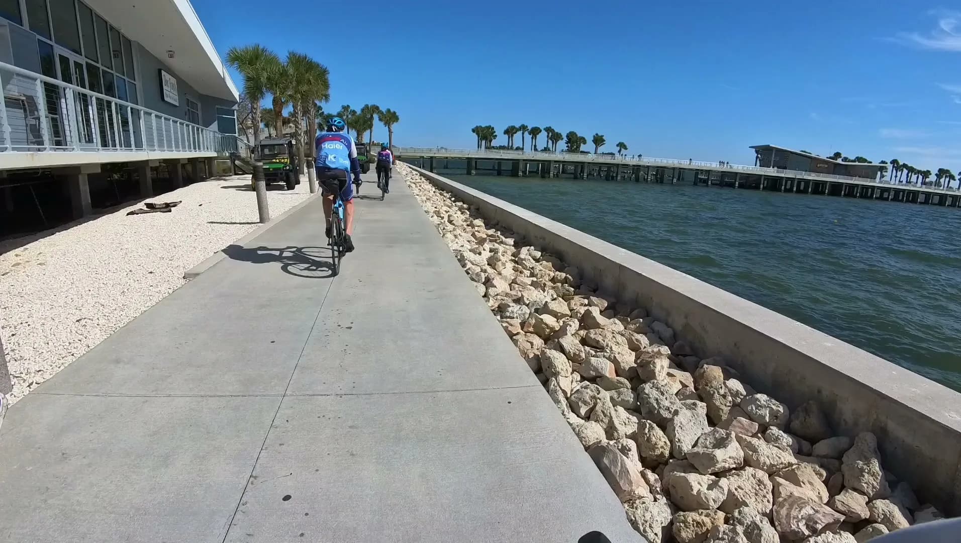 Two cyclists riding a paved waterfront path beside the water on a bike tour, with palm trees and a fishing pier behind them