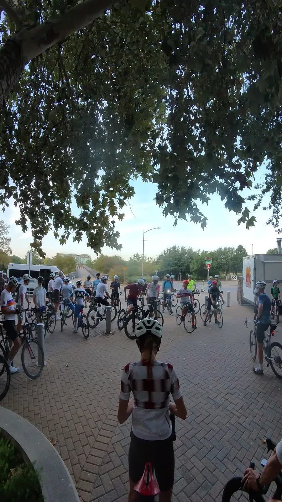 The pack waiting under the trees on the plaza before rolling out