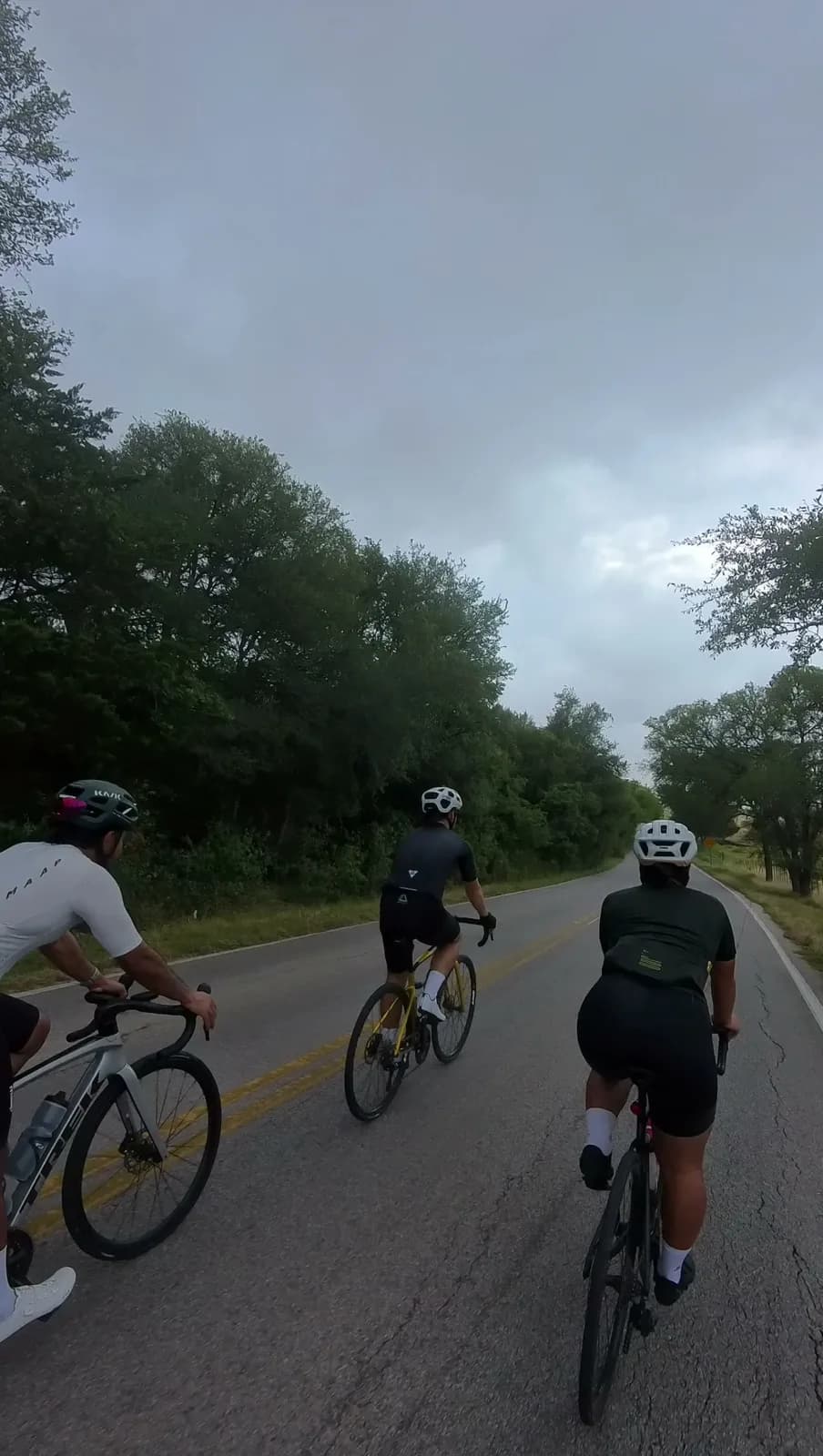 Three riders rolling down a tree-lined road on an overcast morning
