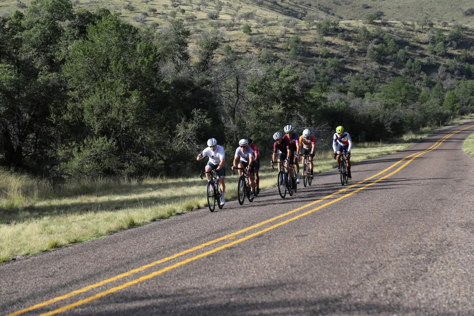 The group climbing a wooded hill road in the morning light