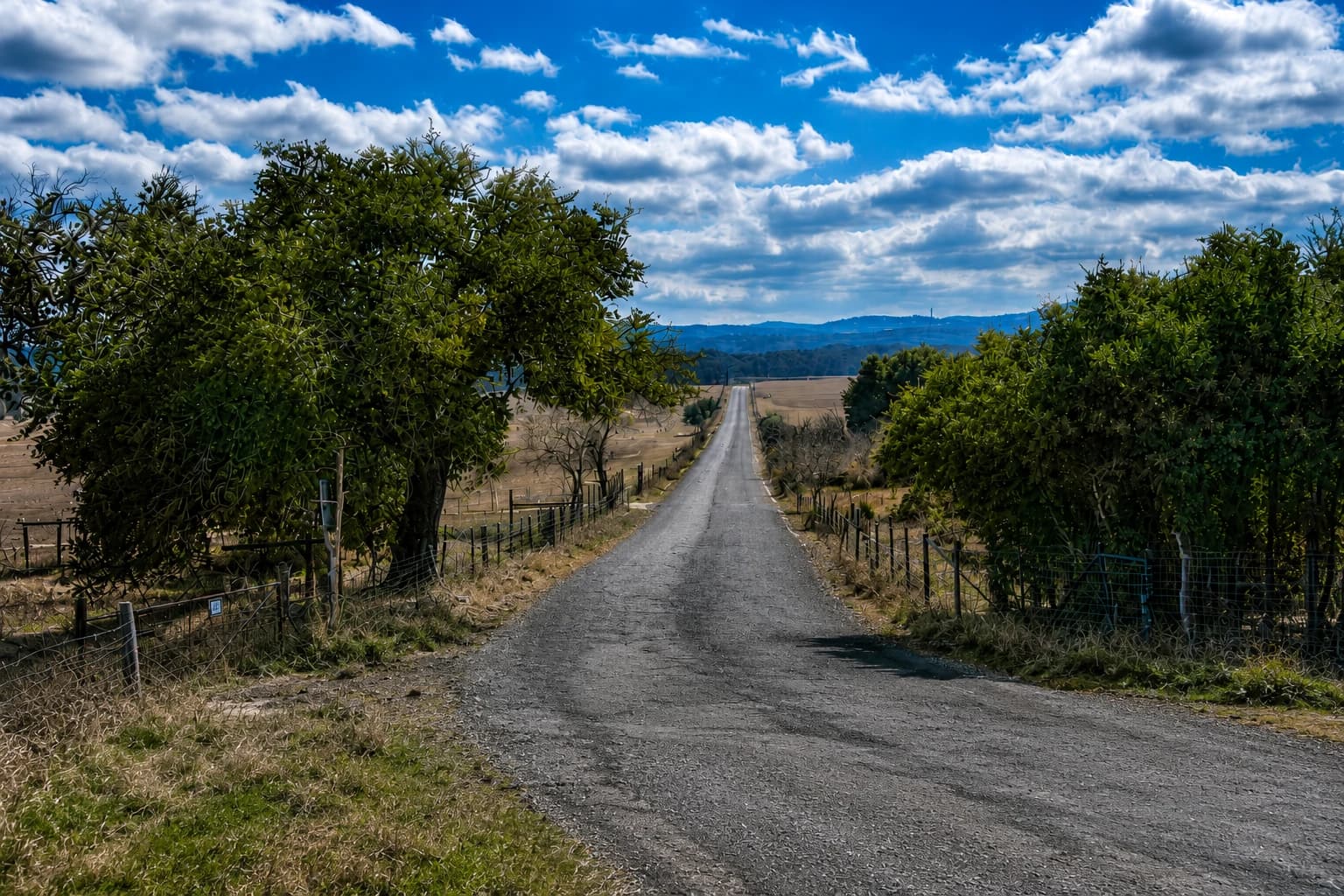 Gravel road through the Hill Country