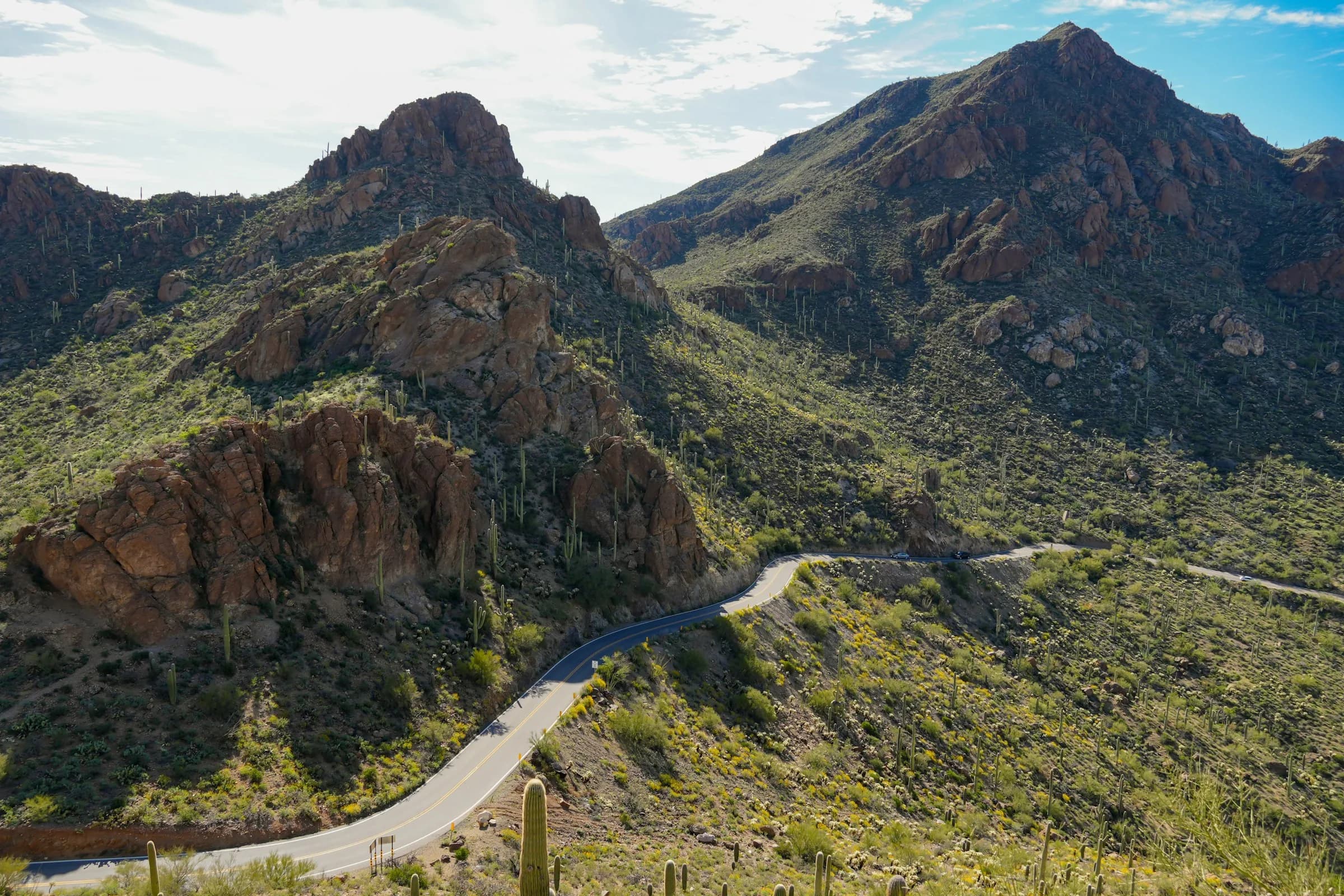 Mountain road curving through the high desert