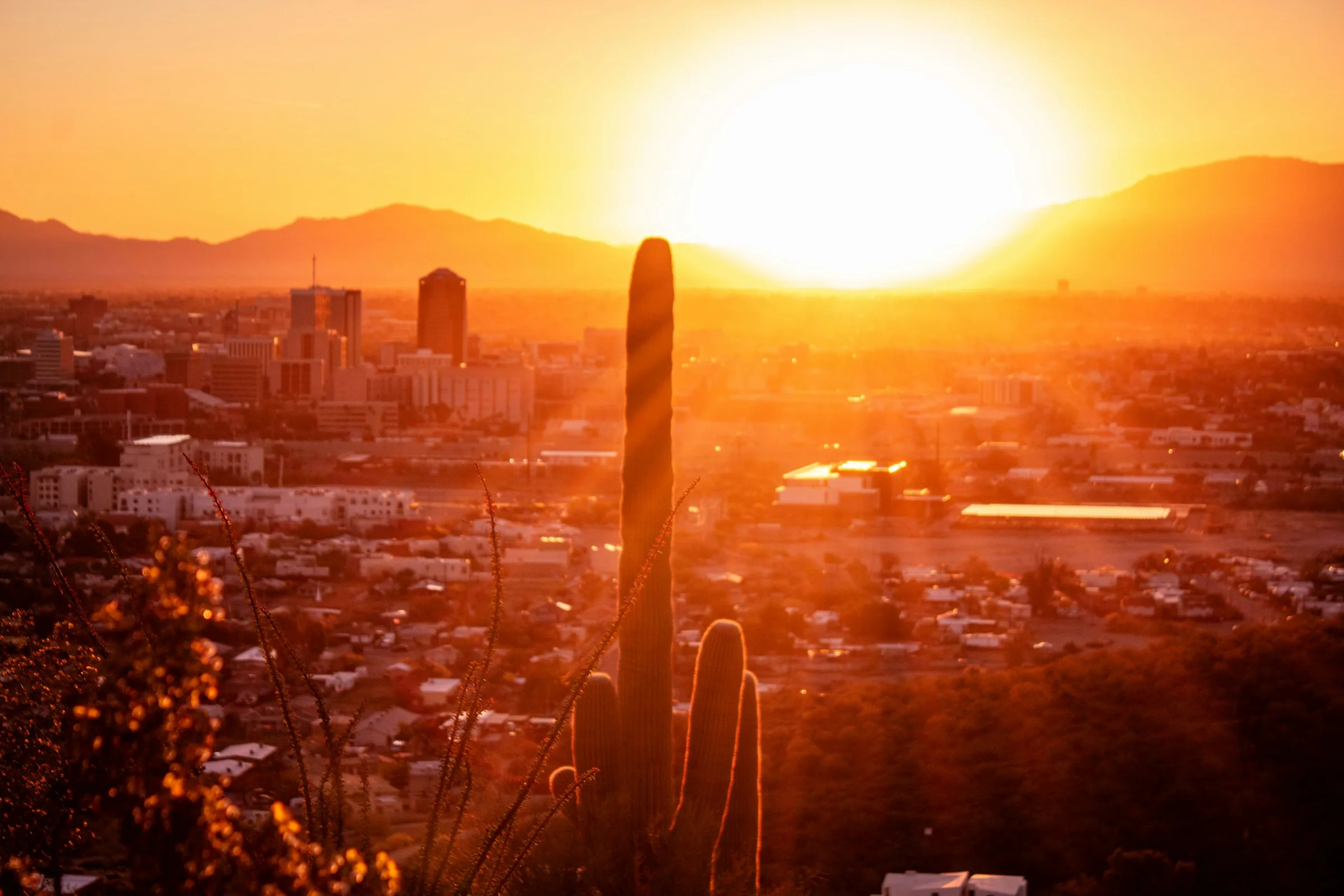 Tucson city sunset behind a saguaro silhouette