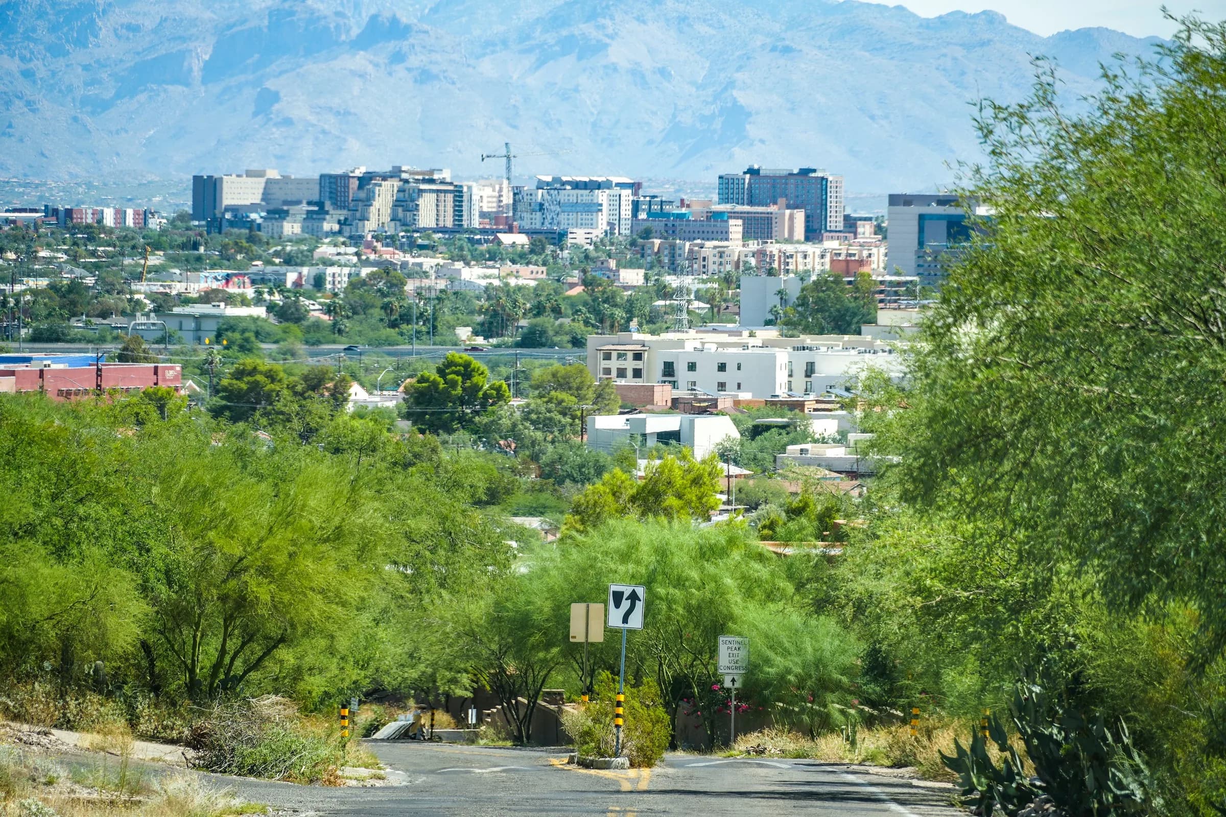 Tucson skyline against the Santa Catalina Mountains
