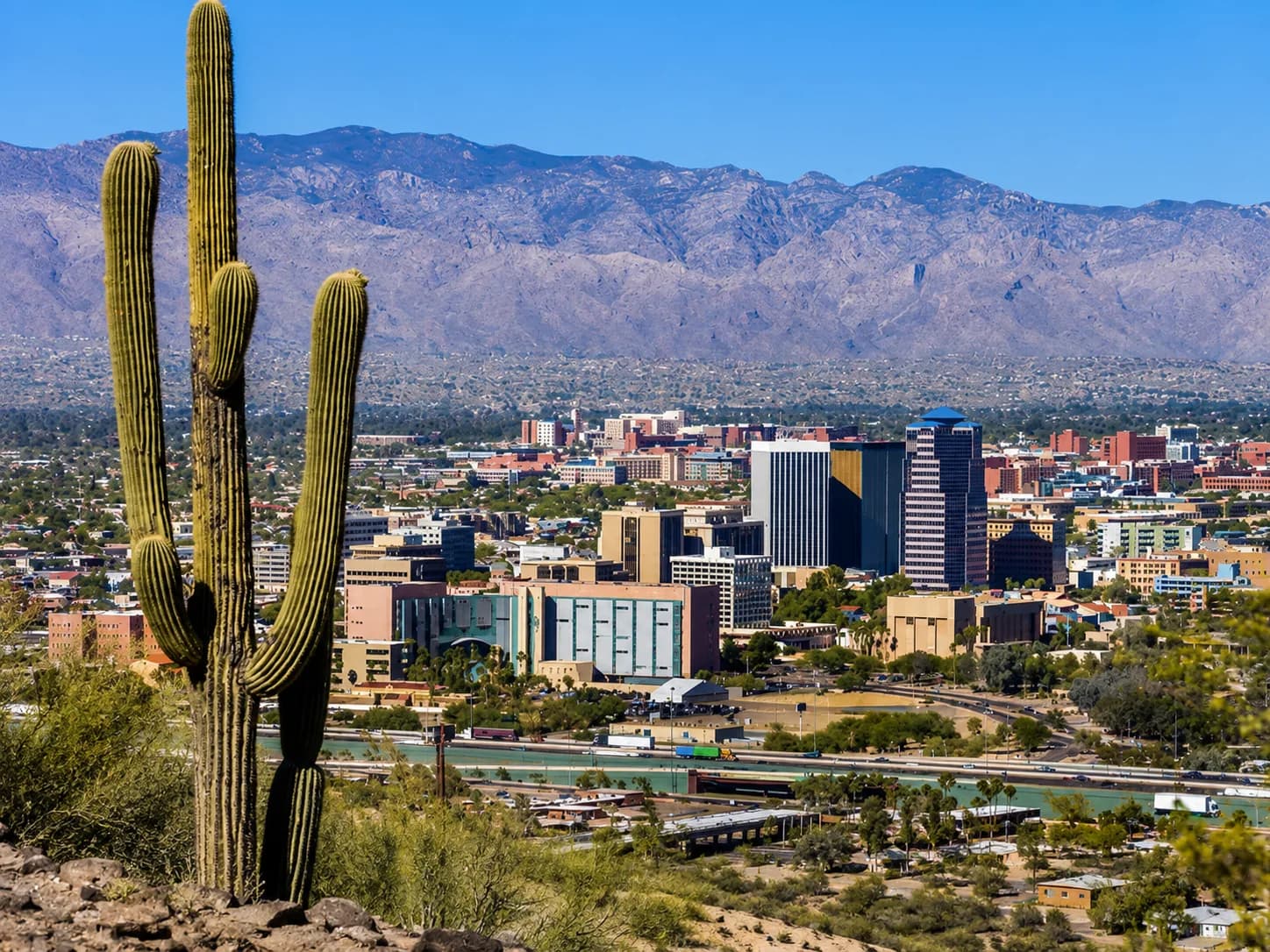 Tucson skyline with saguaros and the Catalinas behind